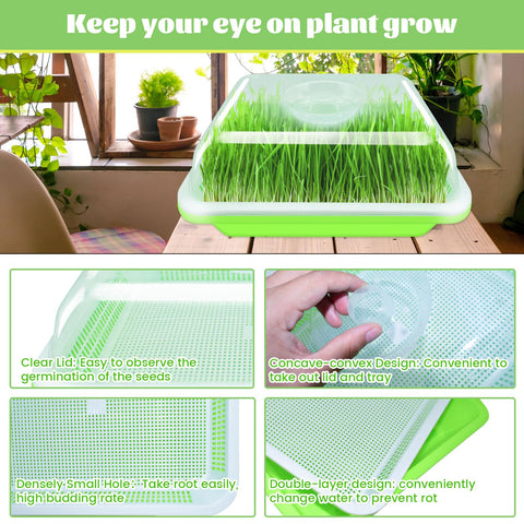 Legigo tapa transparente cerrada manteniendo humedad óptima y luz para germinación uniforme