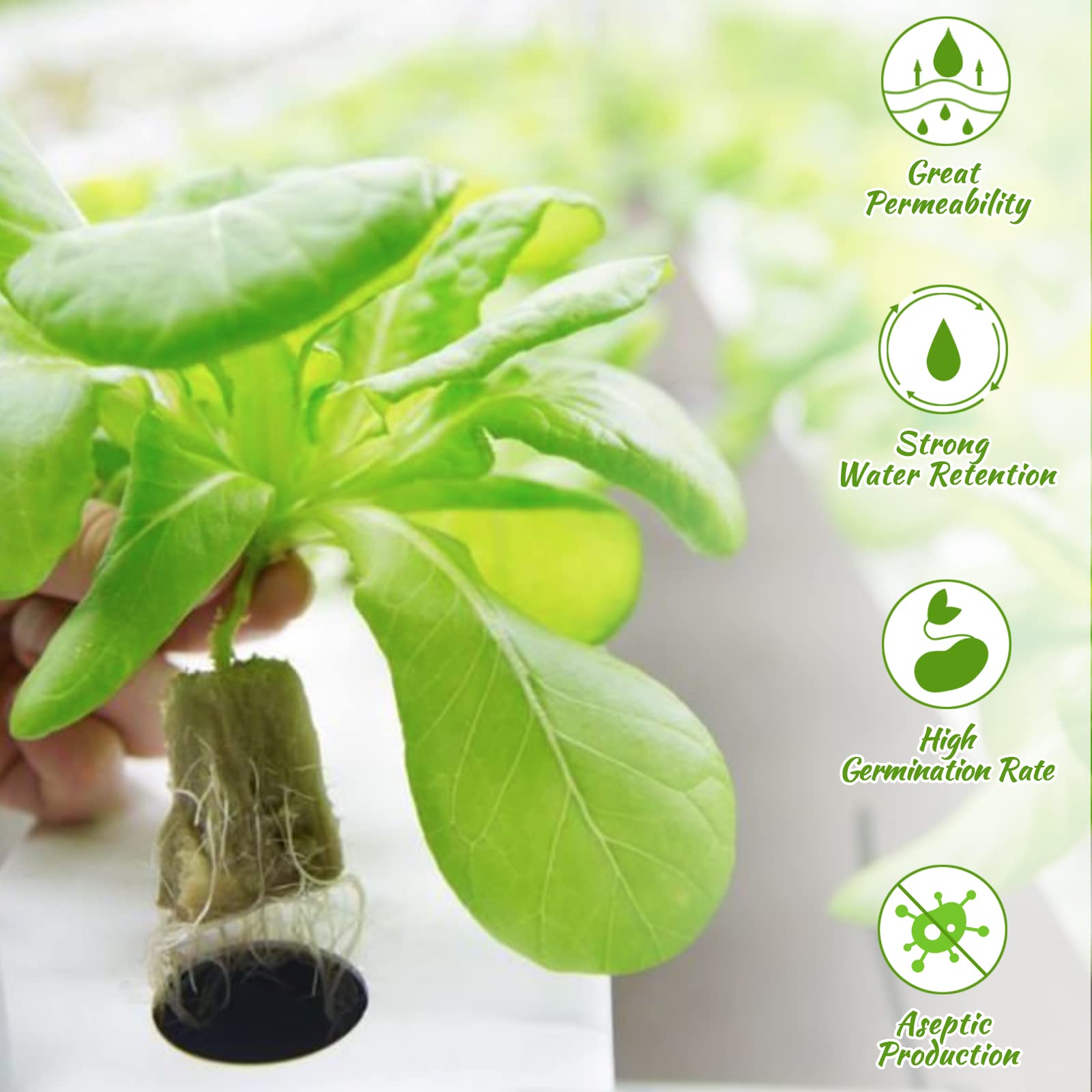 Legigo tapones remojados listos tras ajuste de pH para mejor germinación