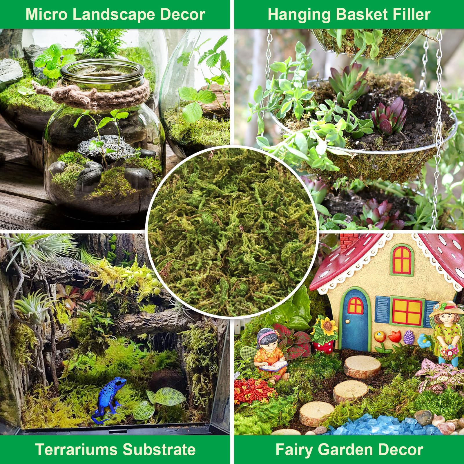 Legigo musgo en terrario húmedo creando un lecho transpirable para reptiles y plantas