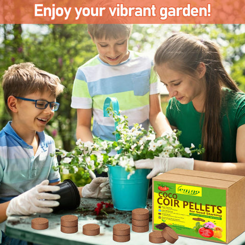 Legigo uso en terrario como cama, substrato natural y absorbente