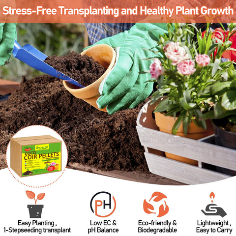 Legigo pellets en bandeja de germinación, optimizan espacio y orden