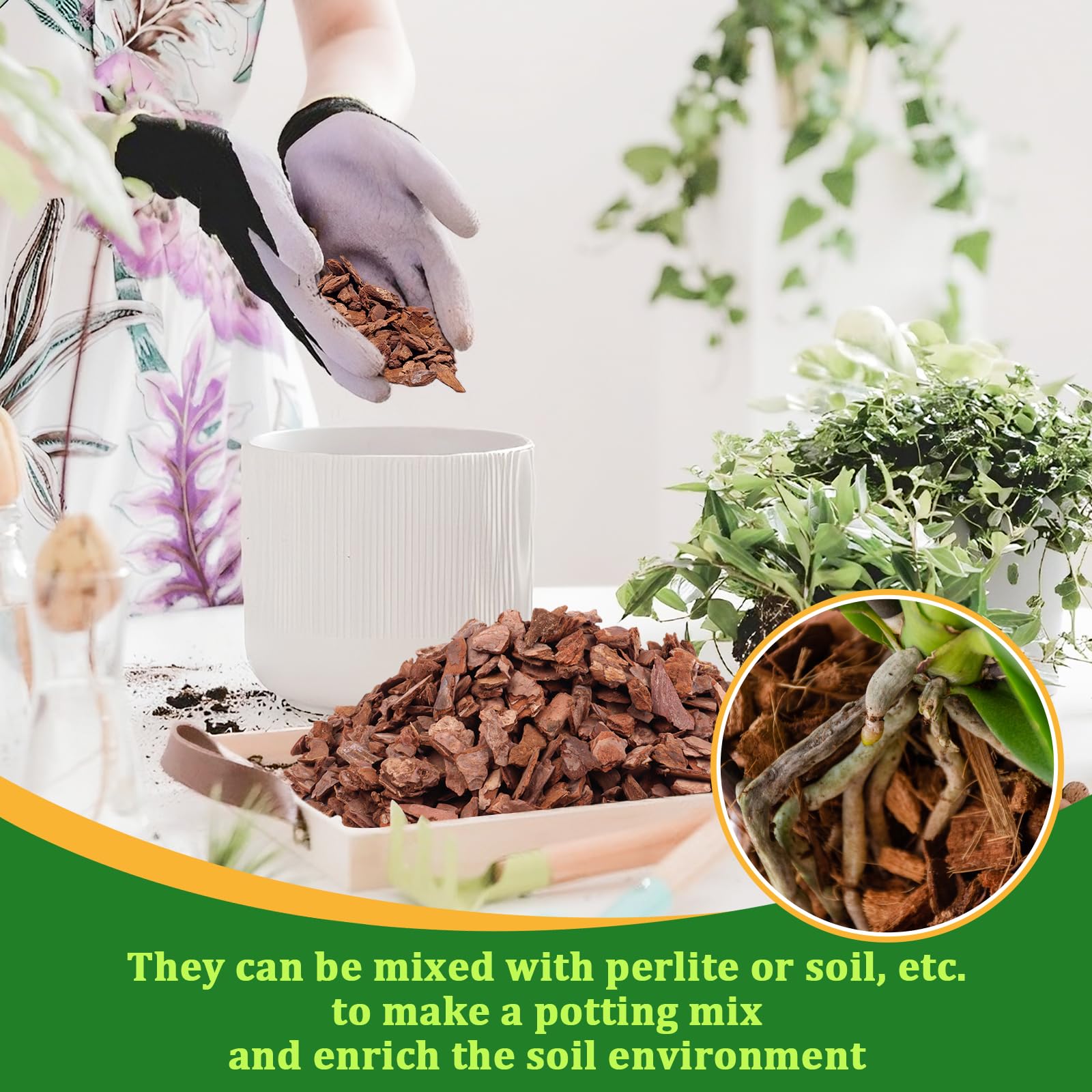 Legigo uso en invernadero con varias orquídeas optimiza cultivo