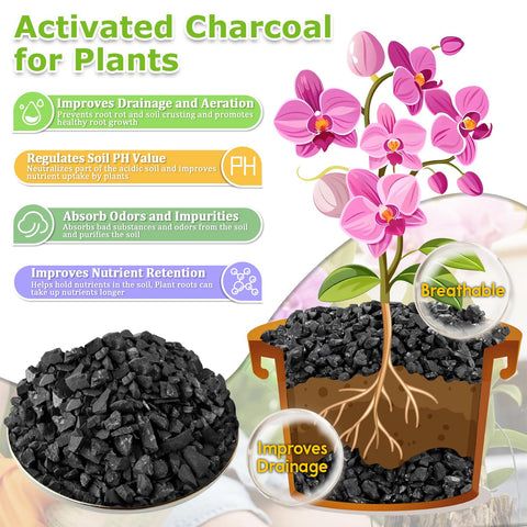 Legigo en uso en orquídeas para favorecer raíces y evitar encharcamiento