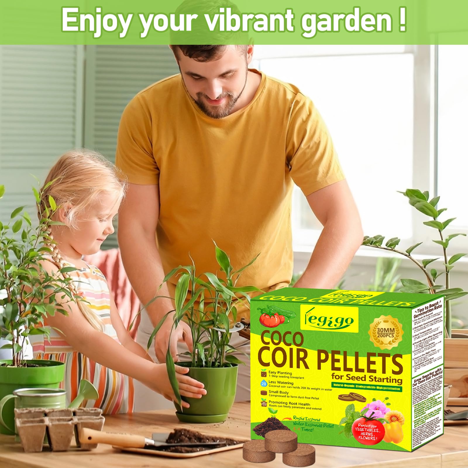 Legigo pellets húmedos en terrario como cama absorbente segura