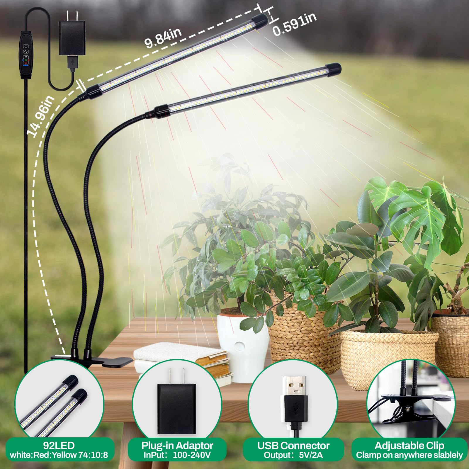 LEOTER primer plano de LEDs mostrando mezcla roja blanca amarilla beneficio espectro completo