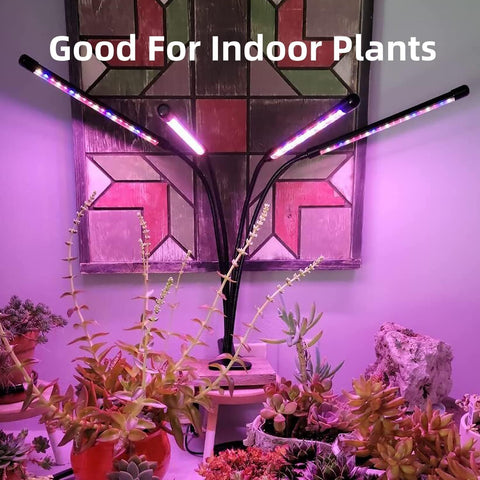 LEOTER lámparas en sala de interior realzando plantas de apartamento