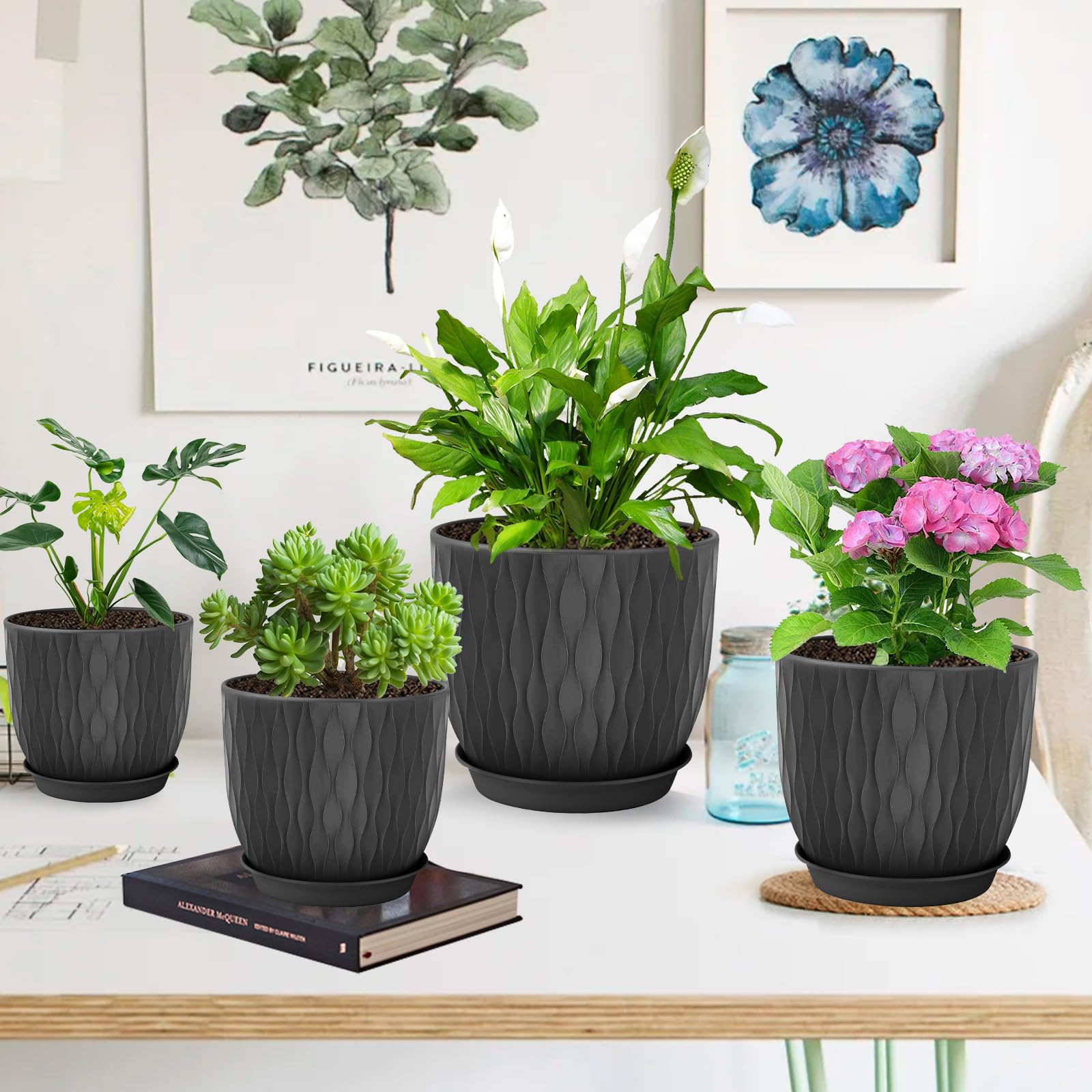 LESOASIS vista superior con planta demuestra espacio para sustrato y raíces