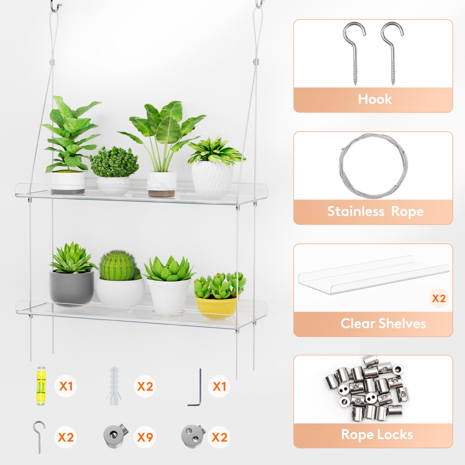 Lifewit estante junto a macetas para comparar escala y capacidad