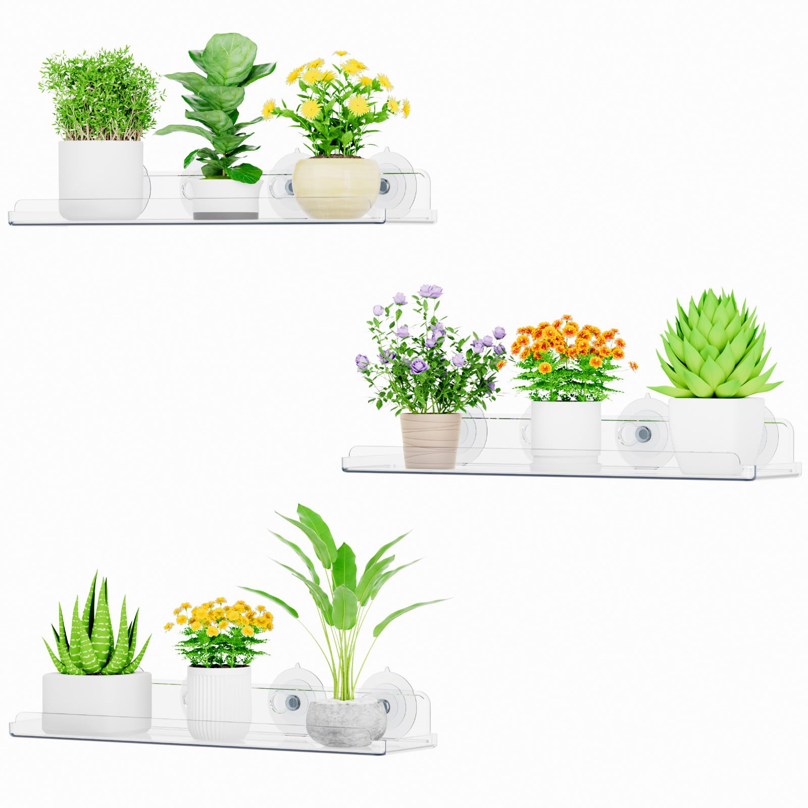 Lifewit estante frontal mostrado en ventana con beneficio vista despejada