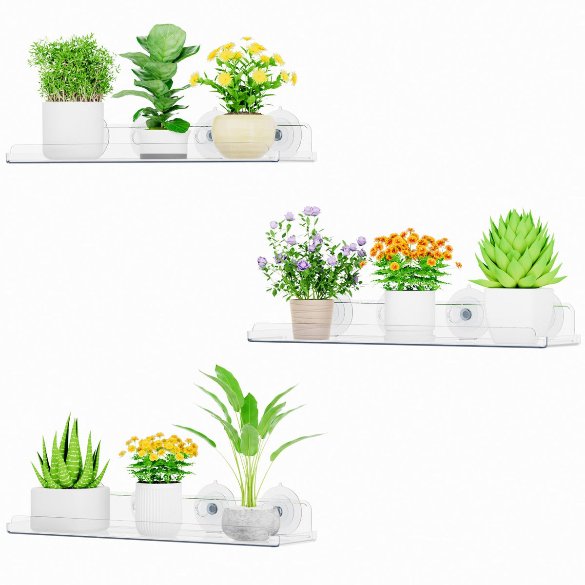 Lifewit estante frontal mostrado en ventana con beneficio vista despejada