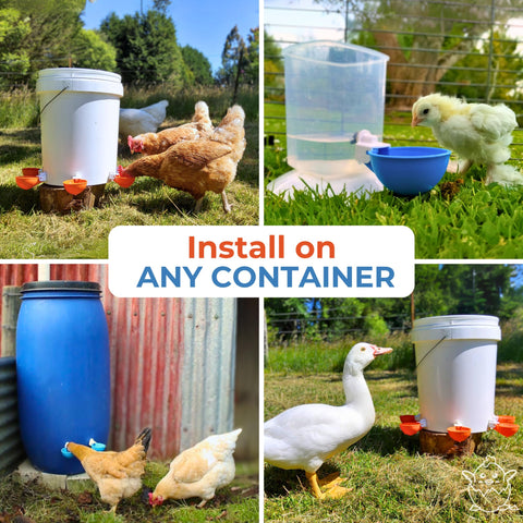 Lil'Clucker pack de 5 unidades ideal para múltiples puntos de agua