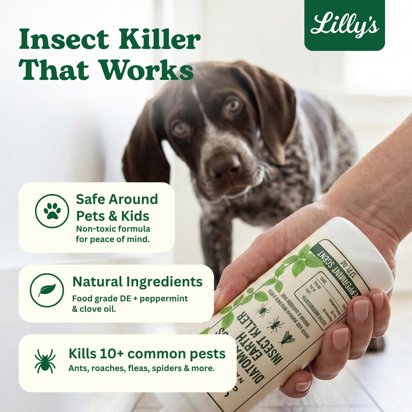 Lilly's Naturals aplicando en alfombra para eliminar pulgas y refrescar
