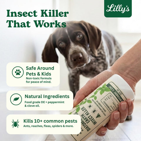 Lilly's Naturals aplicando en alfombra para eliminar pulgas y refrescar