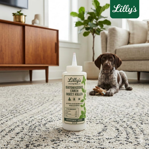 Lilly's Naturals polvo en borde de patio para control de insectos exteriores