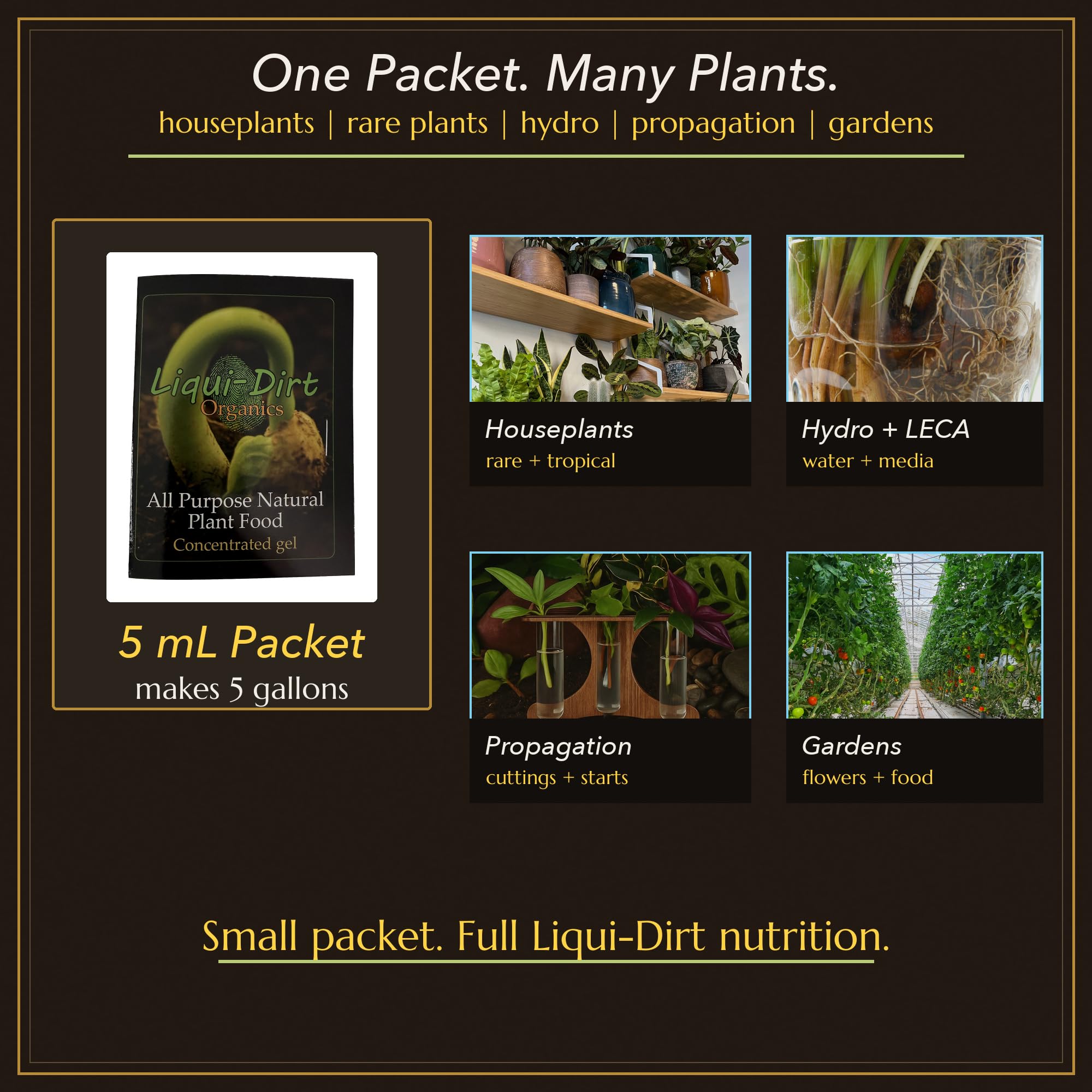Liqui-Dirt aplicado en maceta de monstera mejorando verdor y salud foliar