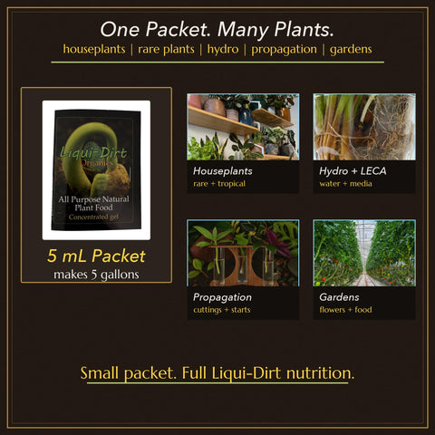 Liqui-Dirt aplicado en maceta de monstera mejorando verdor y salud foliar