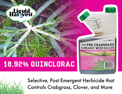 Liquid Harvest etiqueta con concentración 18.92% quinclorac y instrucciones claras