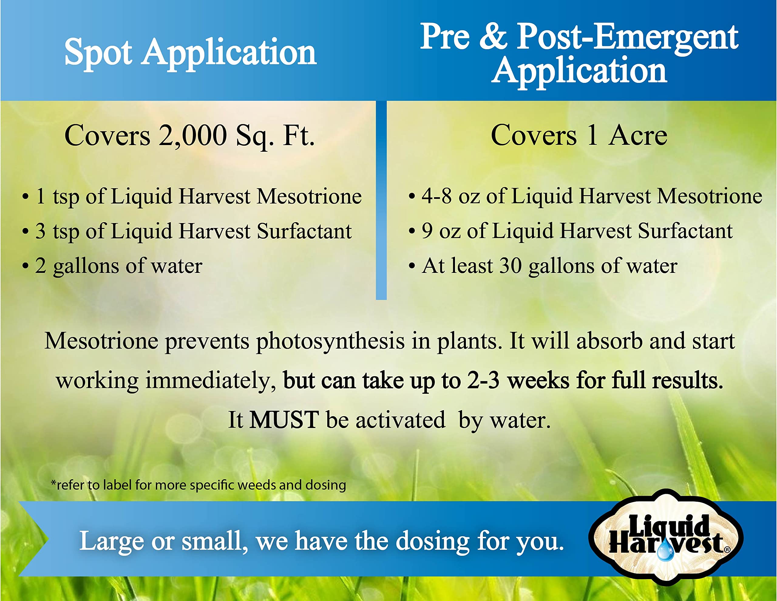 Liquid Harvest comparación antes y después mostrando césped libre de malezas