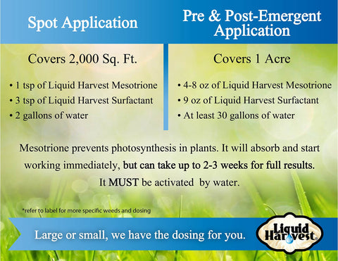 Liquid Harvest comparación antes y después mostrando césped libre de malezas