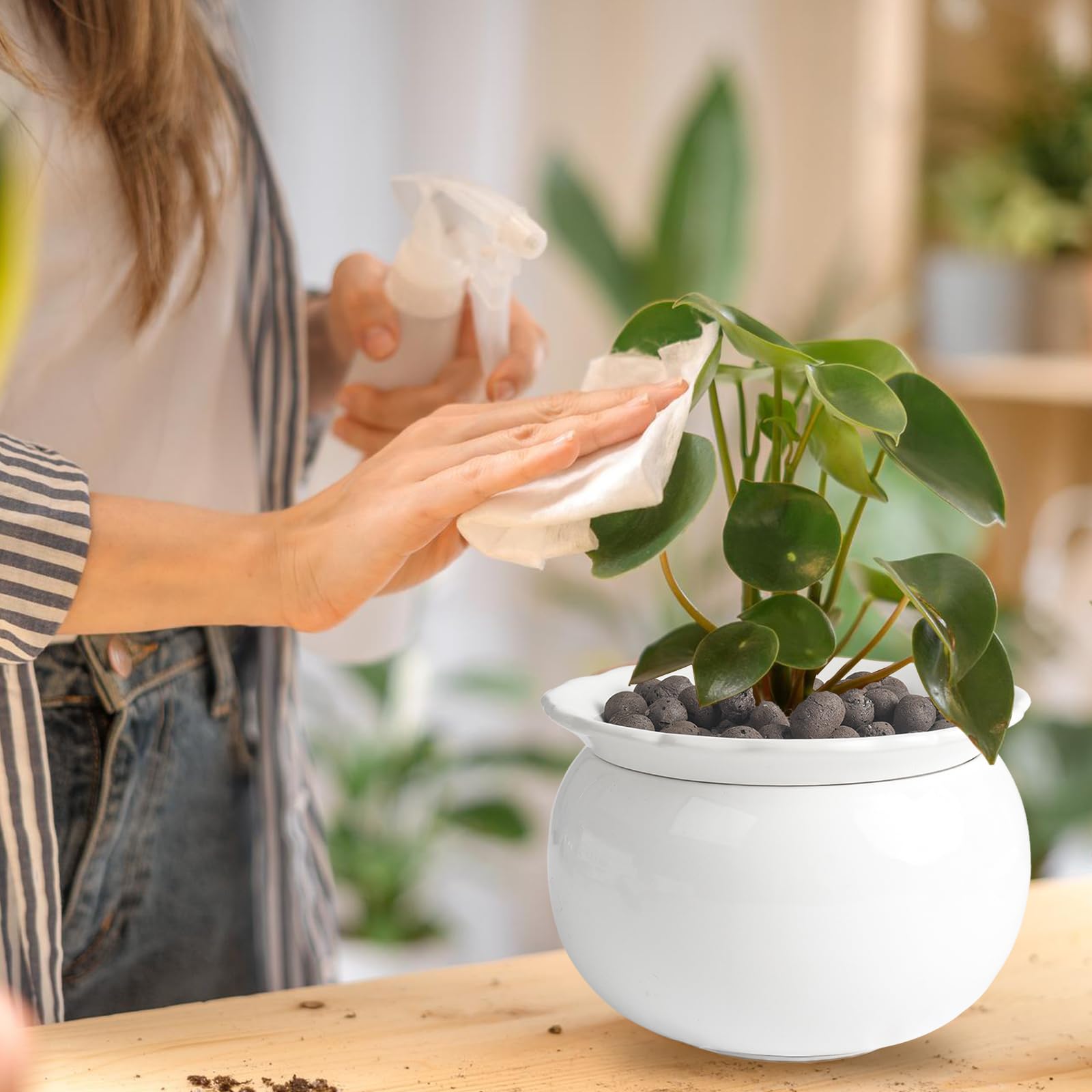 LITUDISO maceta en uso en salón aportando humedad constante a la planta