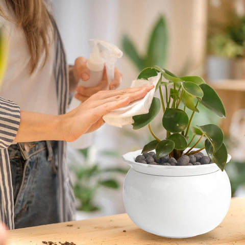 LITUDISO maceta en uso en salón aportando humedad constante a la planta