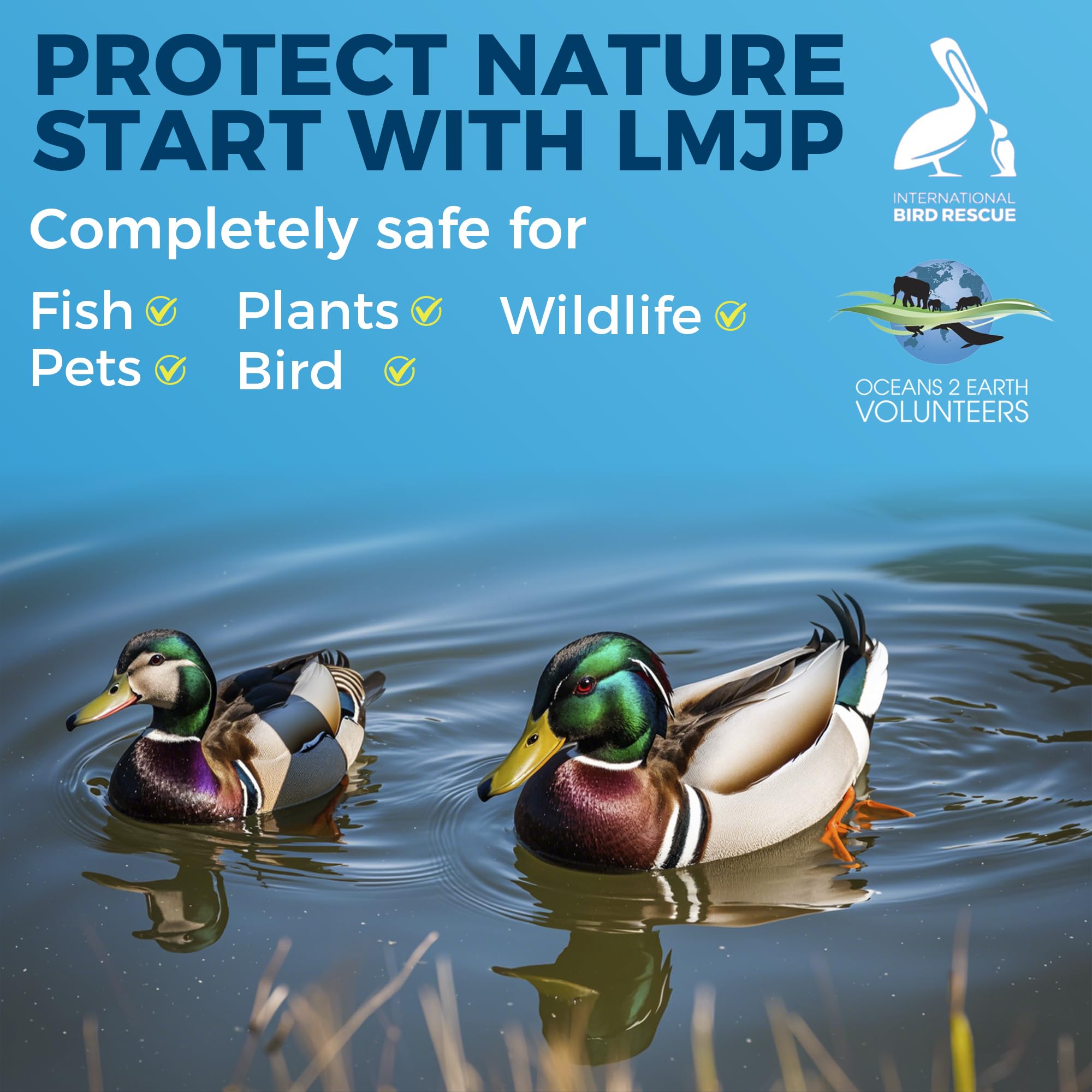 LMJP aplicación en estanque demostrando uso fácil y agua más clara