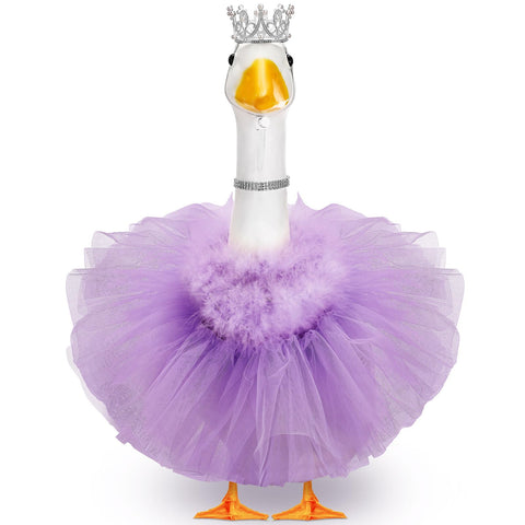 Locmeo disfraz princesa frontal mostrando conjunto completo y atractivo
