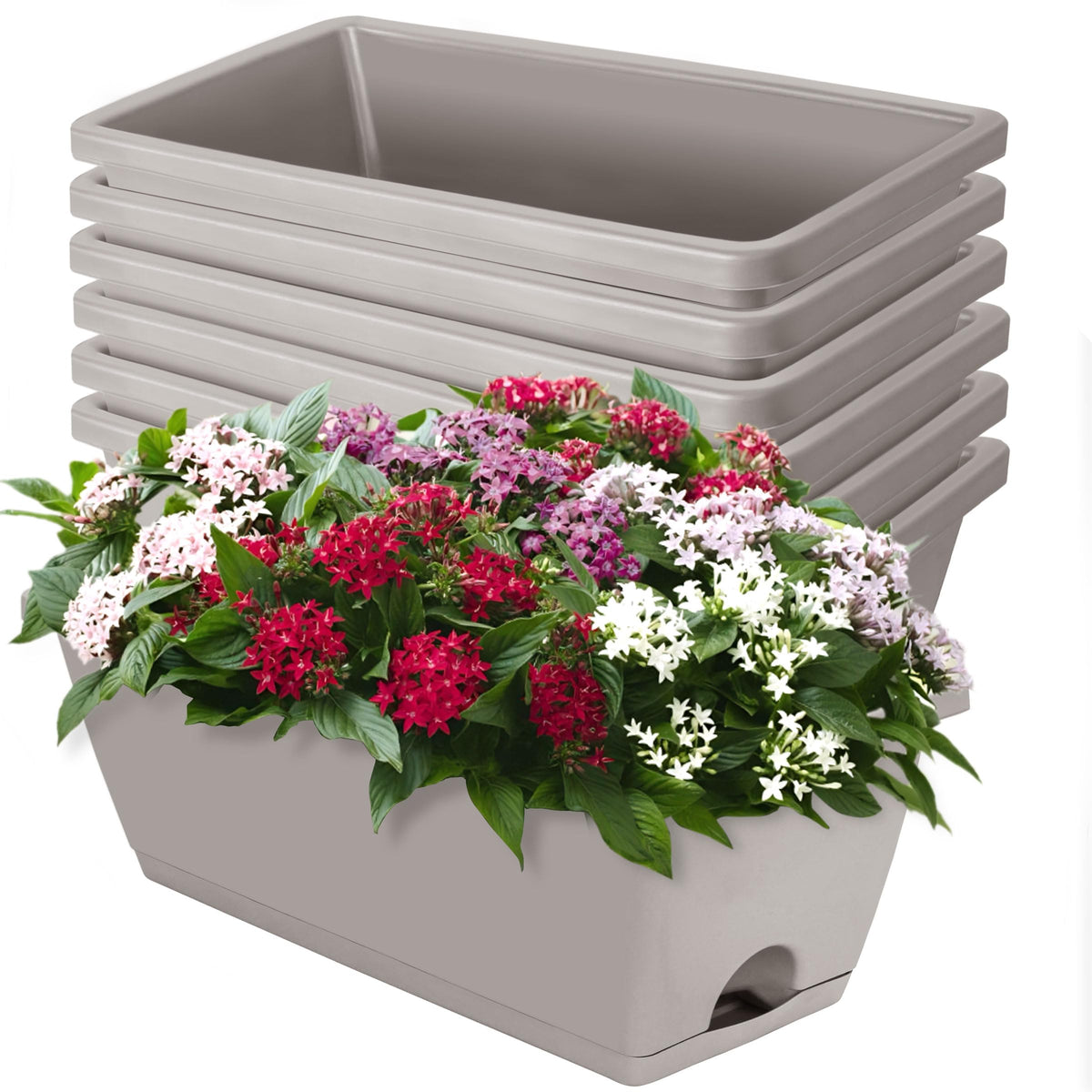 LOCONHA vista frontal del pack de jardineras, solución compacta para cultivo