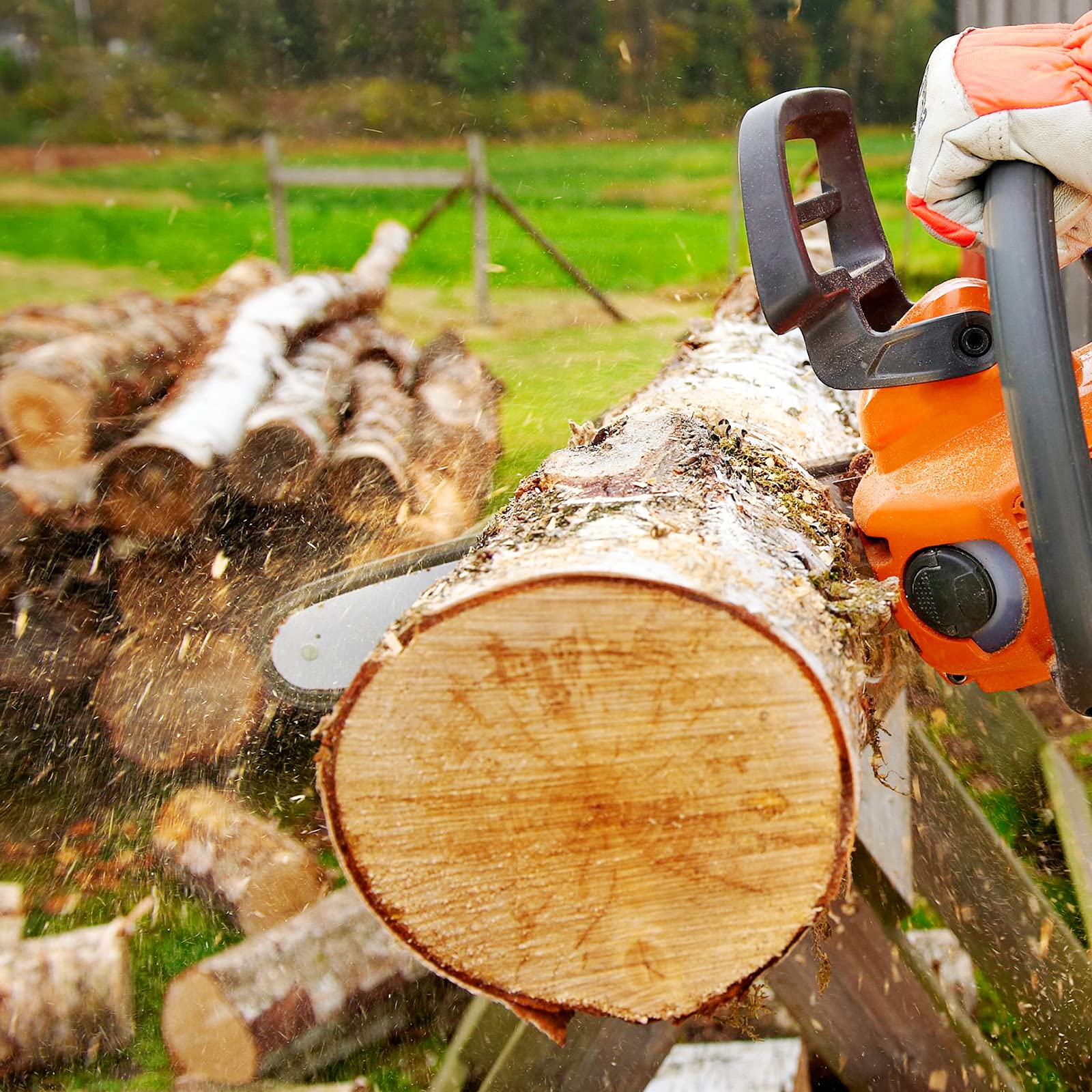 Loggers Art Gens en entorno de jardinería profesional, ahorro de tiempo
