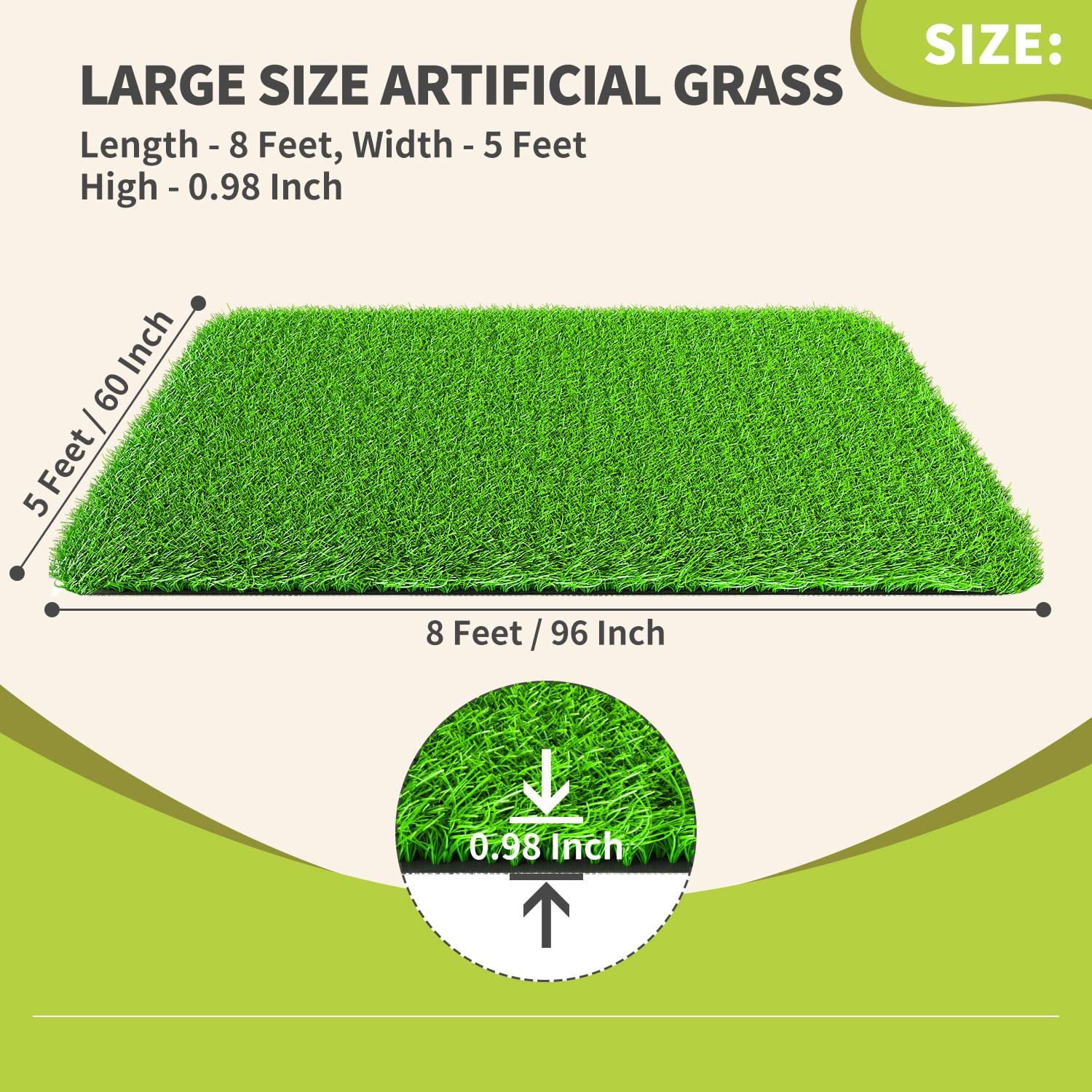 LOOBANI comparación de tamaño 5x8ft junto a objetos para referencia de escala