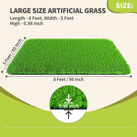 LOOBANI comparación de tamaño 5x8ft junto a objetos para referencia de escala