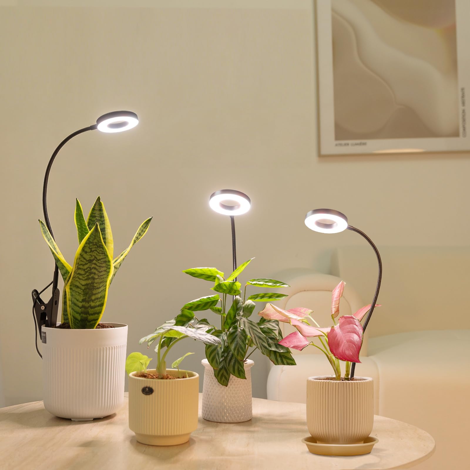 LORDEM lámpara en estantería estilo hogar mejorando la apariencia y salud vegetal