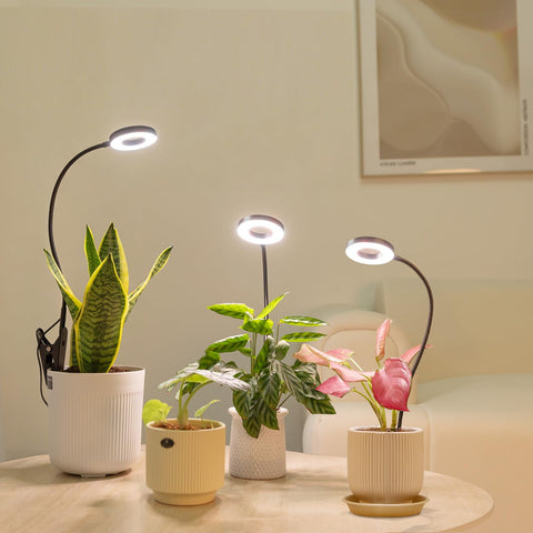 LORDEM lámpara en estantería estilo hogar mejorando la apariencia y salud vegetal