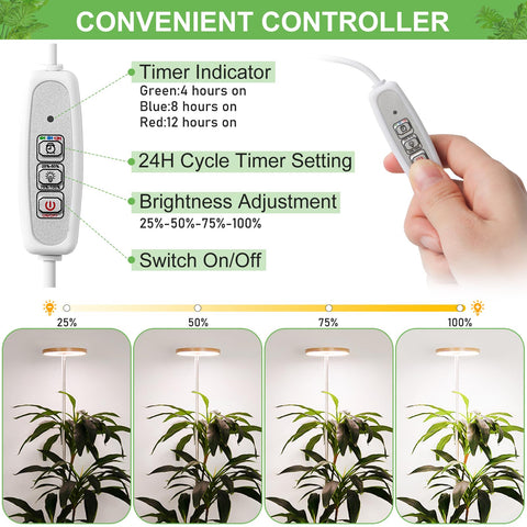 LORDEM luces instaladas en estantería que promueven crecimiento uniforme de plantas