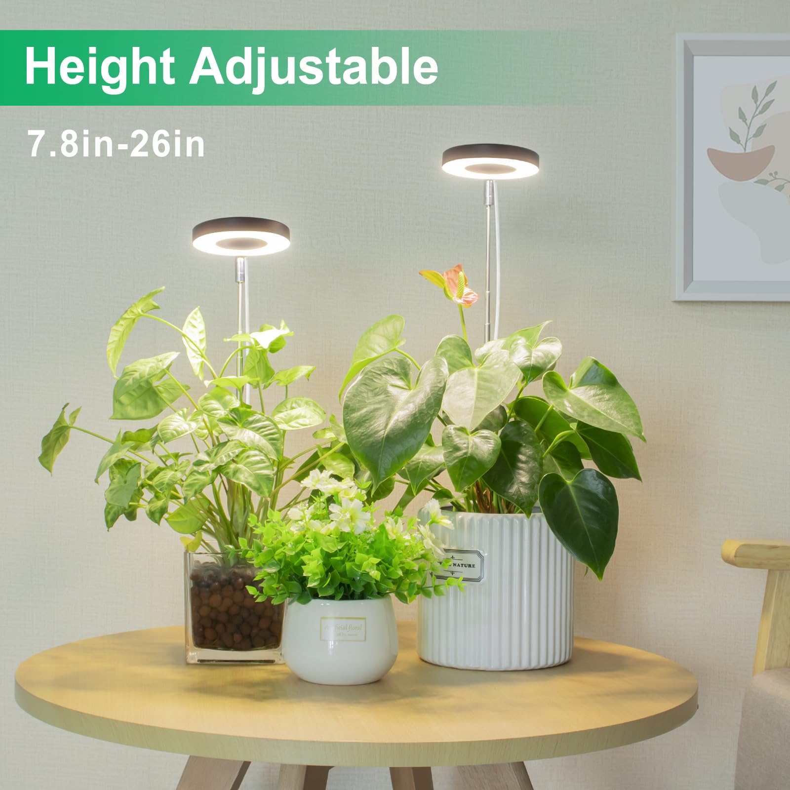 LORDEM acercamiento a LED mostrando espectro completo y eficiencia