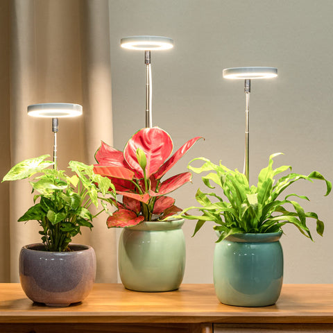LORDEM primer plano de los diodos LED mostrando calidad y eficiencia