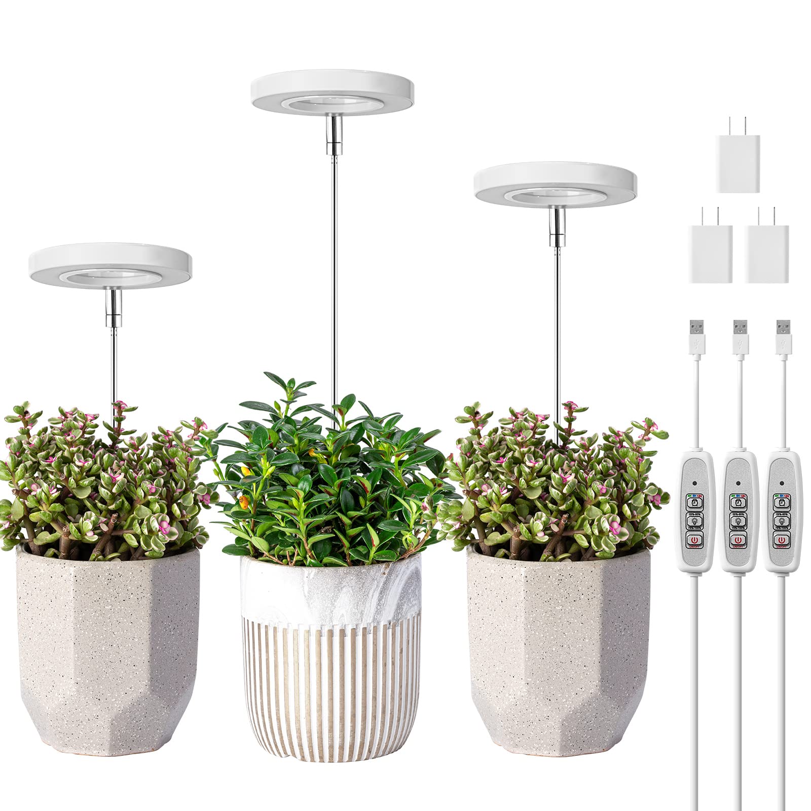 LORDEM pack frontal mostrando las tres luces y diseño decorativo