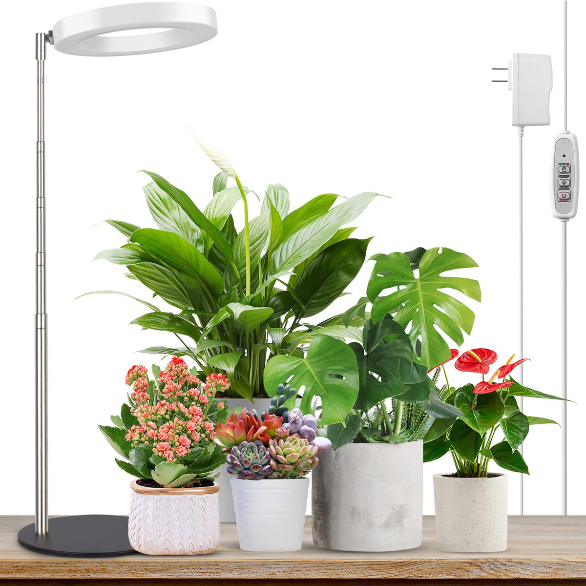 LORDEM vista frontal del producto mostrando diseño compacto y beneficios de iluminación