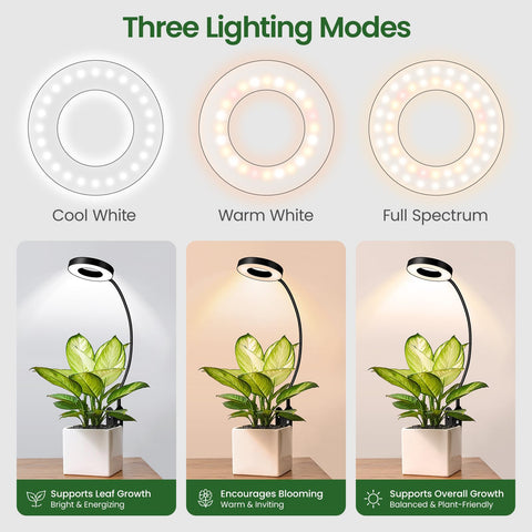 LORDEM lámpara sujeta con clip en maceta para luz focal y crecimiento sano