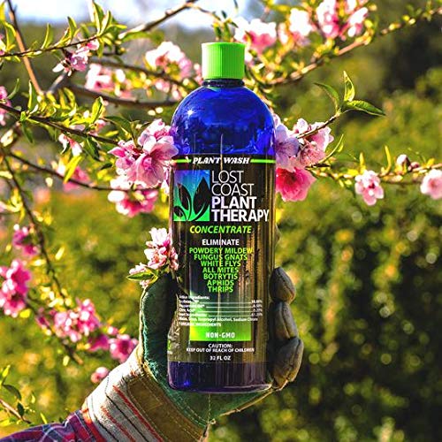 Lost Coast Plant Therapy aplicándose en hojas para eliminar plagas por contacto