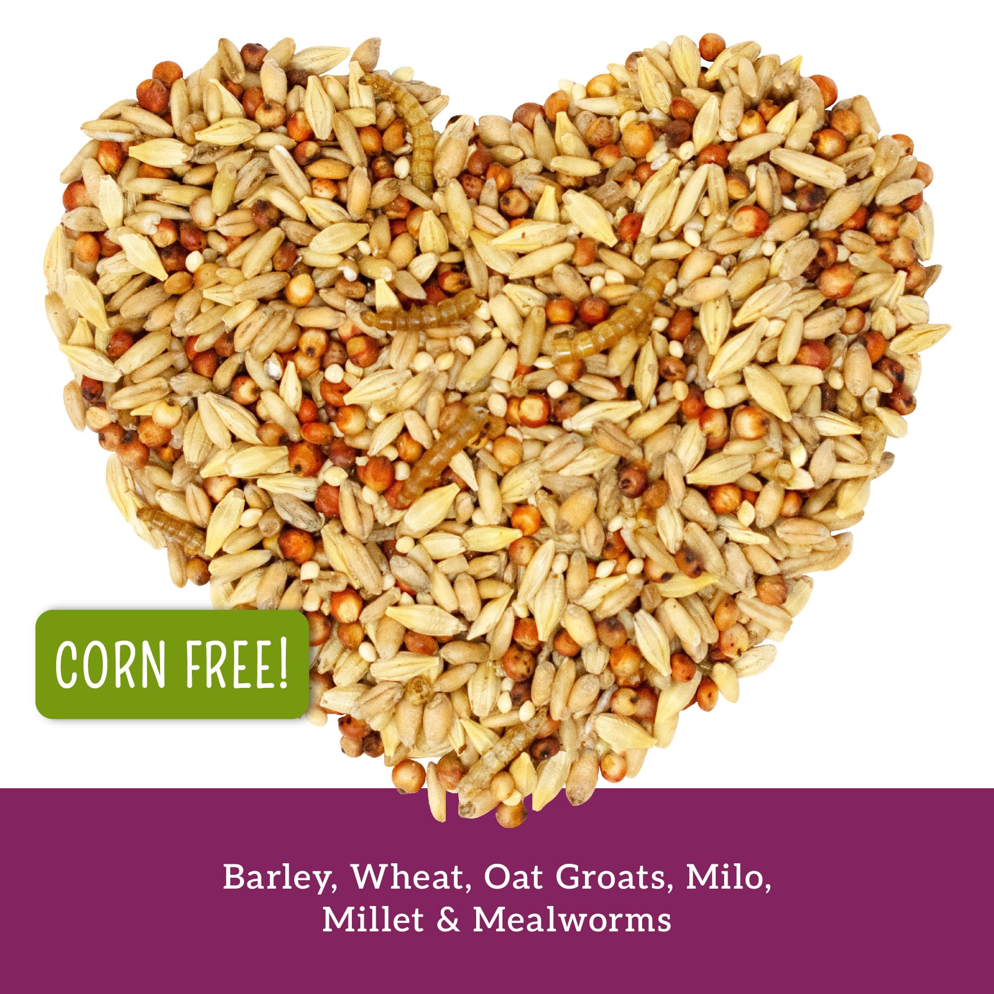 Love My Girls detalle de mealworms proteicos, apetecibles para gallinas