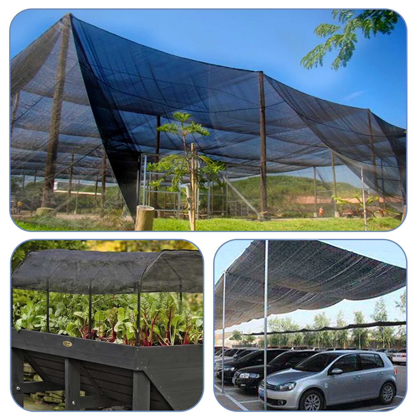 LOVE STORY ambiente de terraza sombreada con plantas protegidas