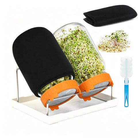 Lulonpon frascos frontal mostrando vidrio claro y capacidad para brotes