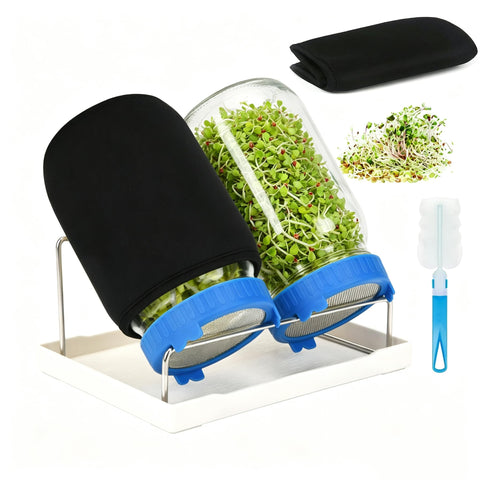Lulonpon vista frontal del kit completo para germinar, organización práctica