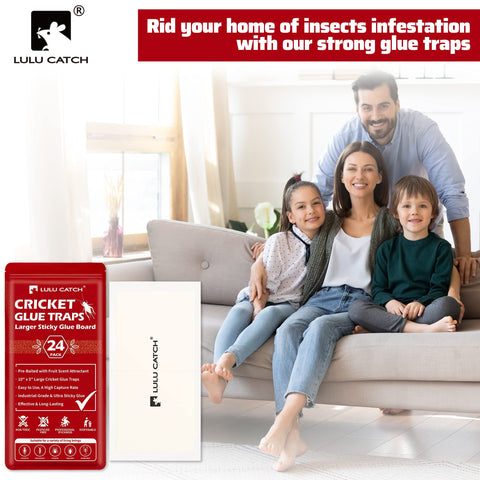 LULUCATCH trampa en ambiente de sala mostrando uso discreto en hogar