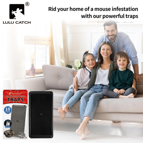 LULUCATCH trampas instaladas en cocina protegiendo áreas de paso