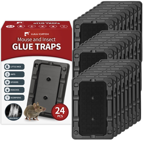 LULUCATCH empaque frontal mostrando pack de 24, fácil almacenamiento