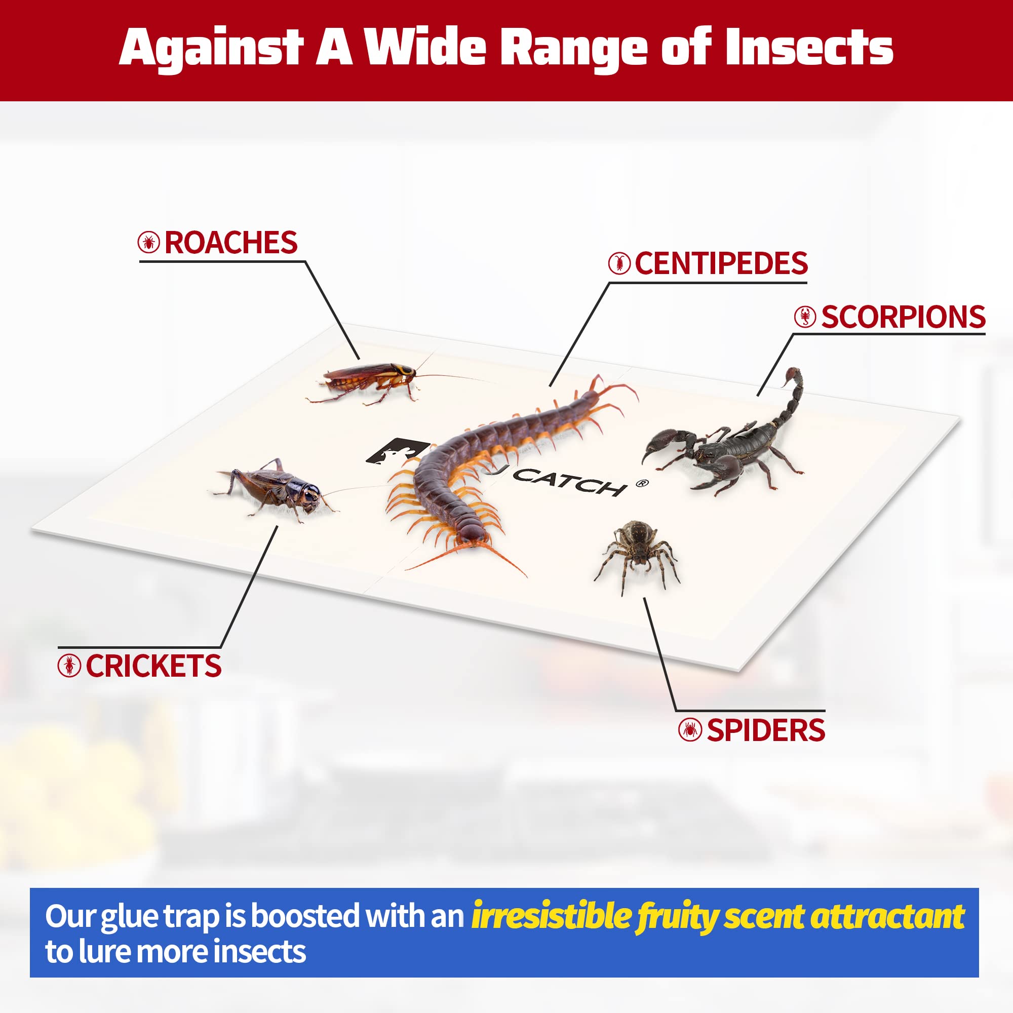 LULUCATCH trampa en uso en suelo atrapando insectos para control doméstico