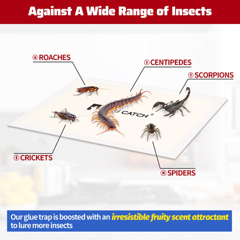 LULUCATCH trampa en uso en suelo atrapando insectos para control doméstico
