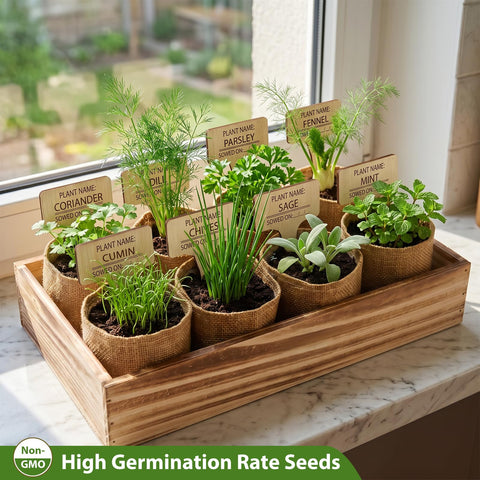 LUOJIBIE mini huerto en encimera con hierbas frescas y decoración
